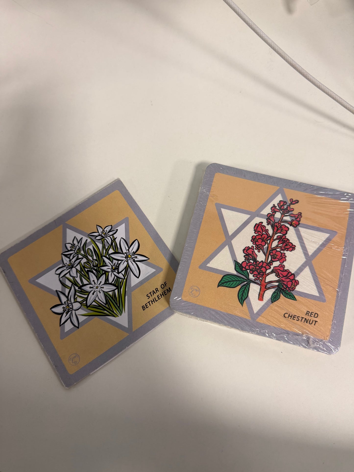 Le carte dei fiori di Bach