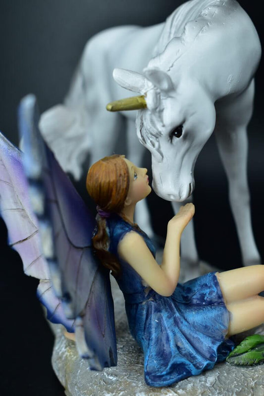Fata e unicorno dolcemente insieme