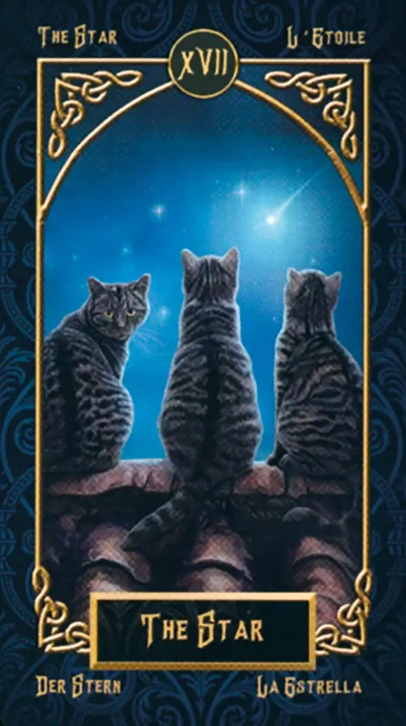 Tarot Familiars