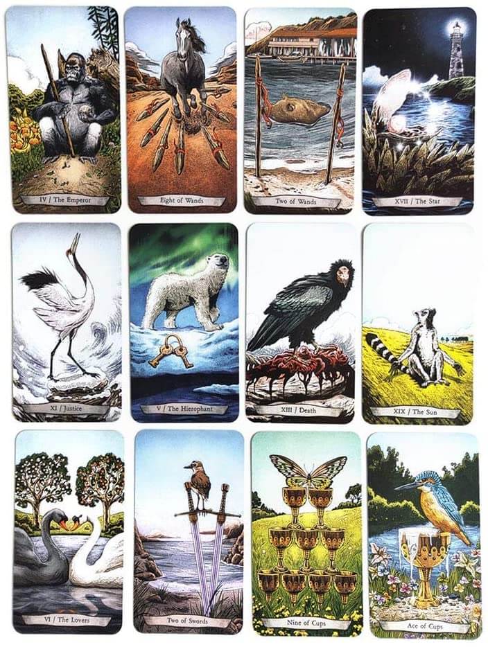 Animal Totem Tarot