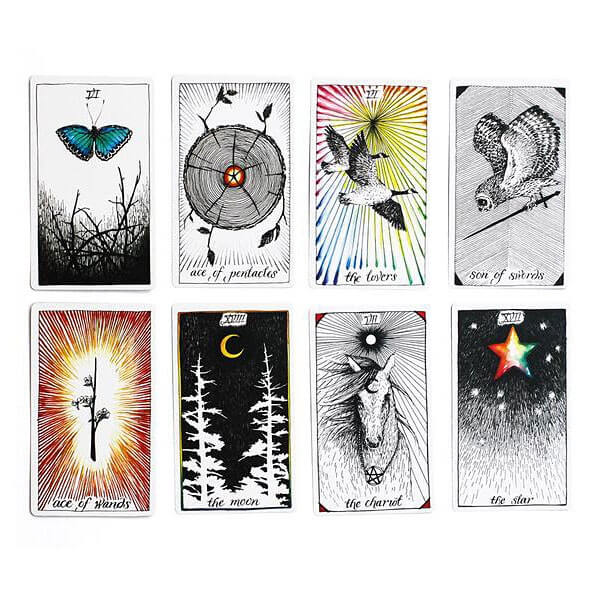 The Wild Unknown Tarot - KIT