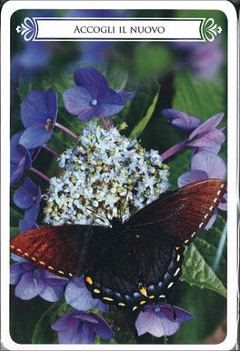 Le carte delle Farfalle