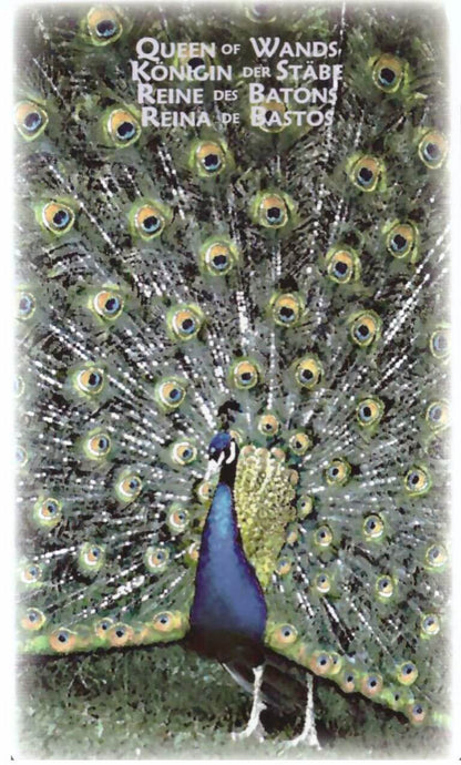 Power Animal Tarot